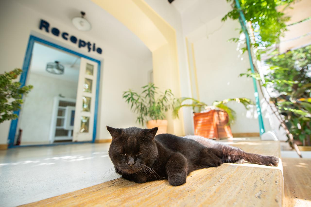 Villa Pontica Navodari Dış mekan fotoğraf